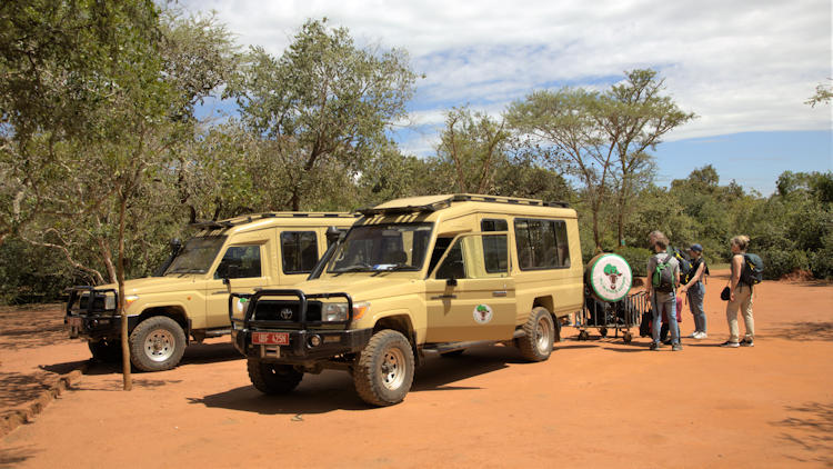 safari vehicles